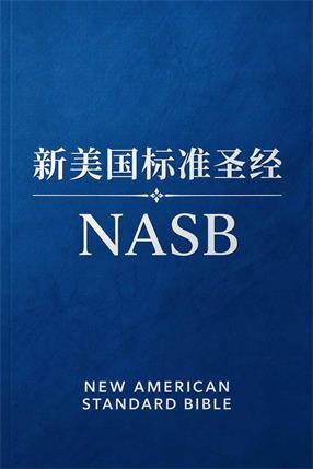 新美国标准圣经封面